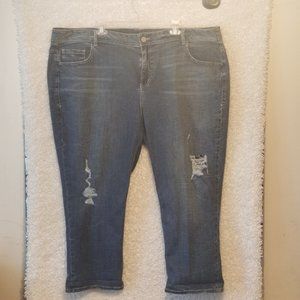 Lane Bryant Genius Fit Crop Jeans Size 28